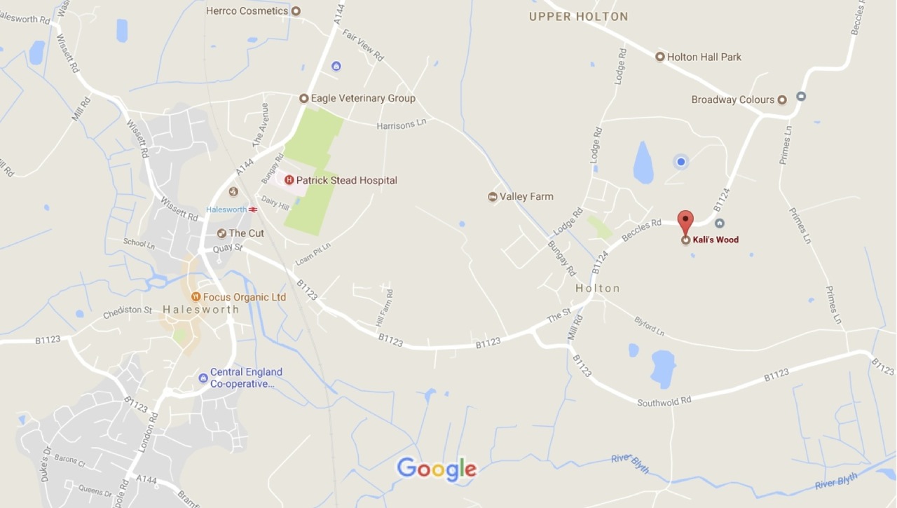 Map Kali's Wood