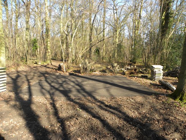 2016 02 Wood Shed foundation-3