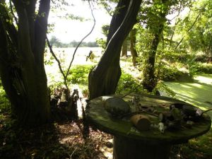 Wood writing-11