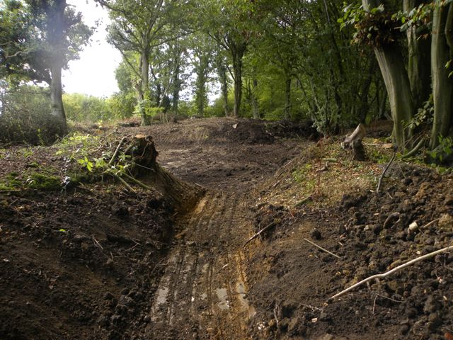 Woodland Ditches Tim Woolnaugh-4