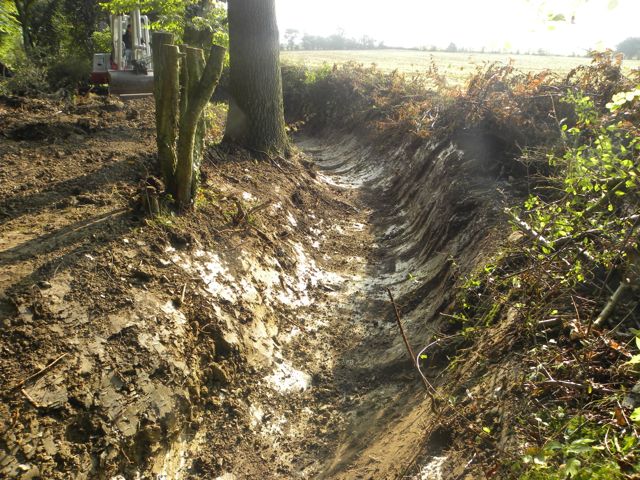 Woodland Ditches Tim WoolnaughWoodland Ditches Tim Woolnaugh