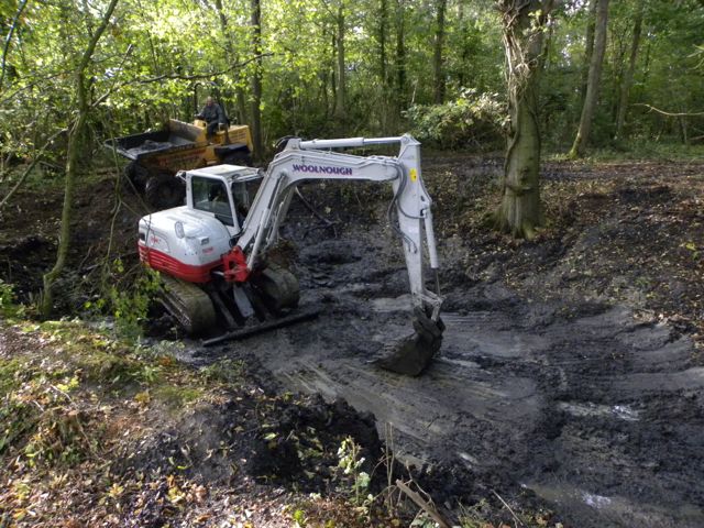 woodland pond dredge-3