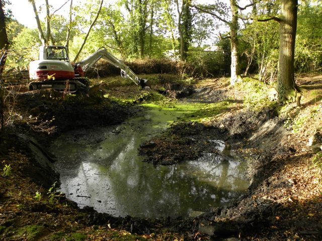woodland pond dredge