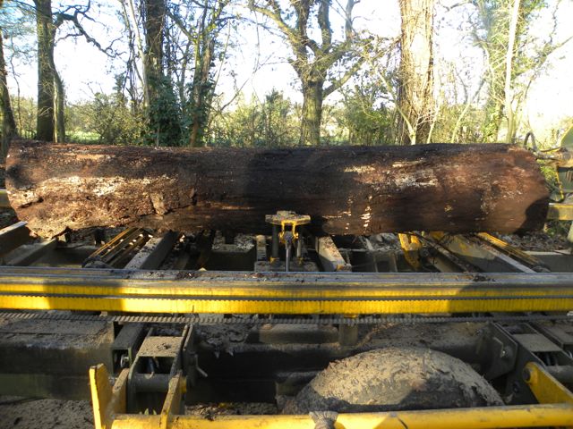 2014 12 bansaw Jim Dye, Graham, Paul, Turk-6