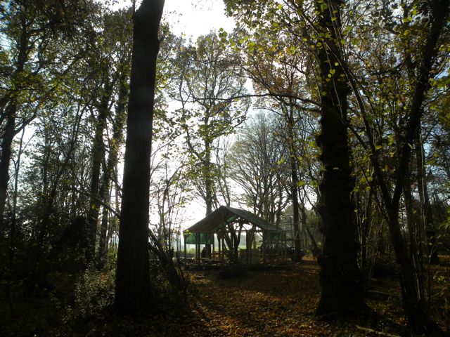 2016 11 Woodland cabin