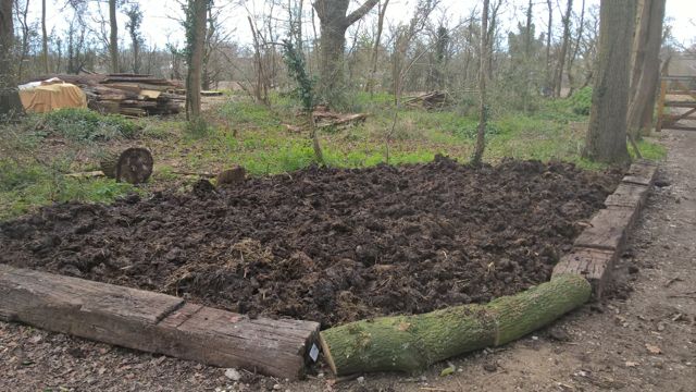 Wood garden-2