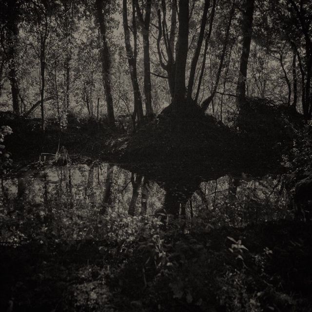 2015 09 Bill Jackson Wood