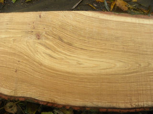 2016 11 Ben Woodland cabin