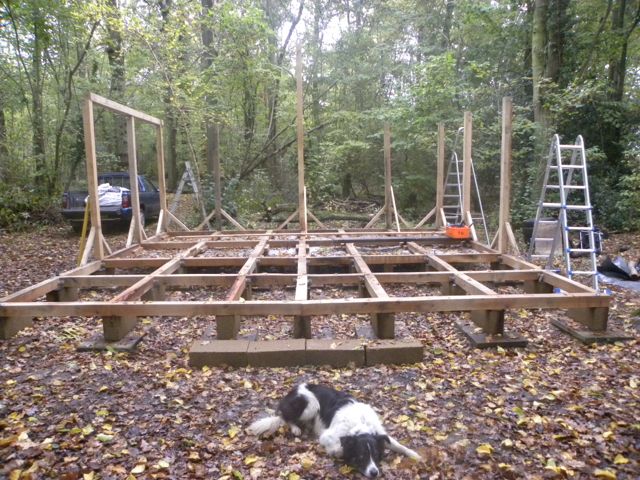 2016 11 WOODLAND CABIN