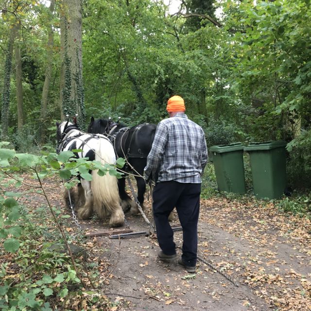 2017 10 EACN Gill photo-2