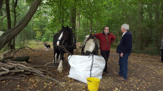 2017 10 EACN Lunch and Joe's Horses-5