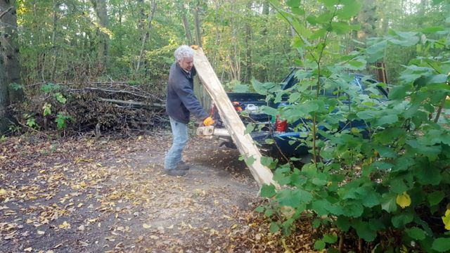 2017 10 October Timber for loo-2