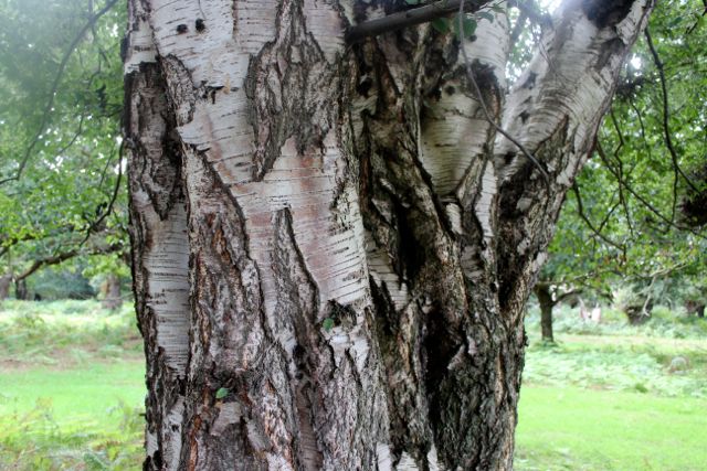 Staverton Sticks-7