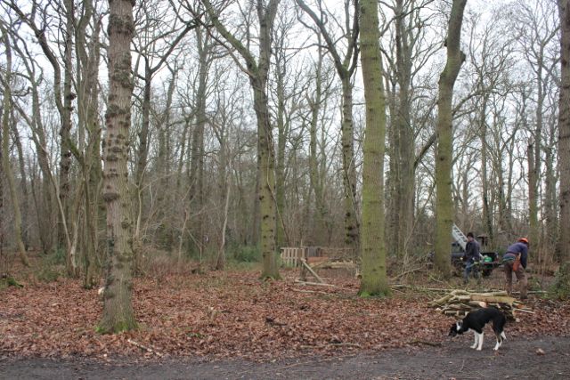 coppice in kaliwood day 2