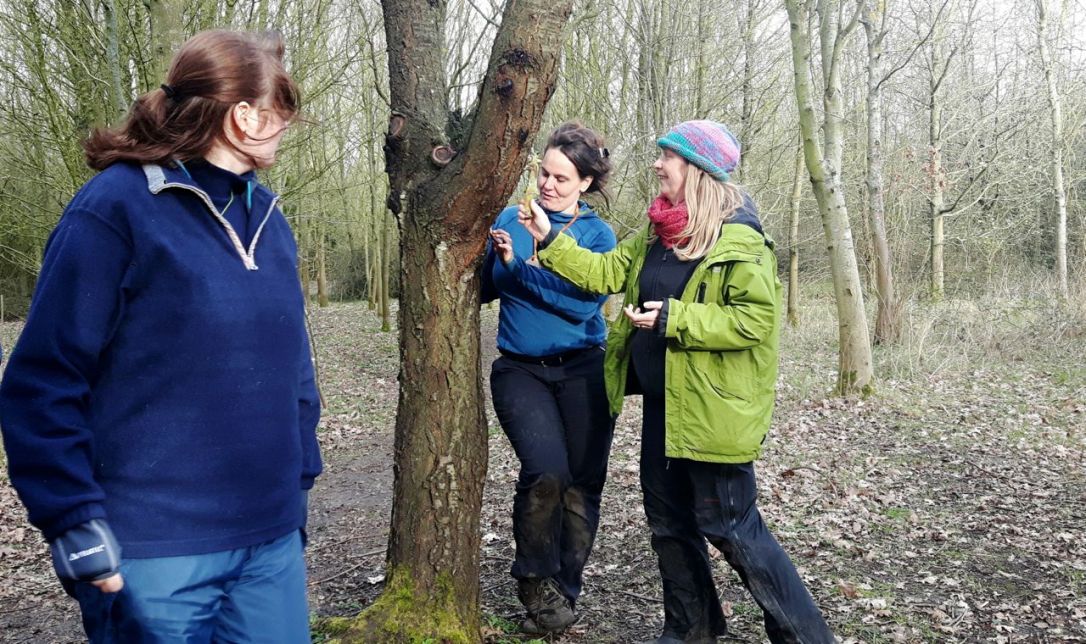 Forest School-2