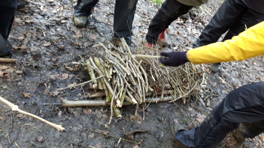 Forest School Traning-10