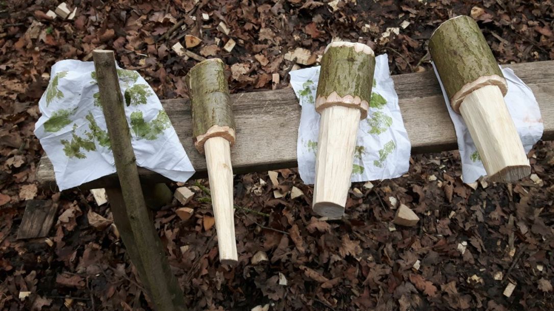 Forest School Traning-6