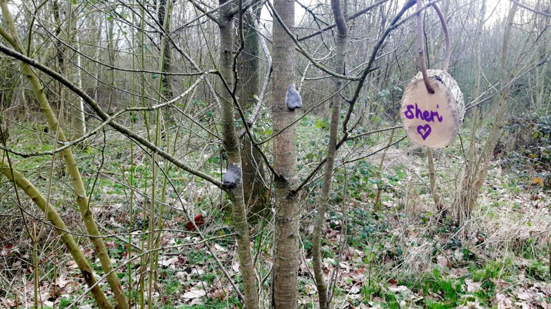 Forest School