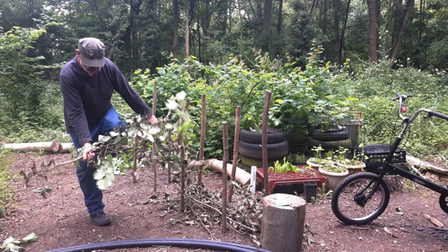 KFS June 26 Dead Hedge