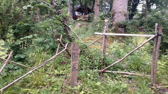 Wood June 21