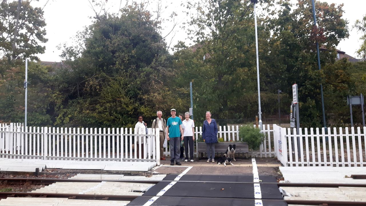 HOD Tree walk2-2
