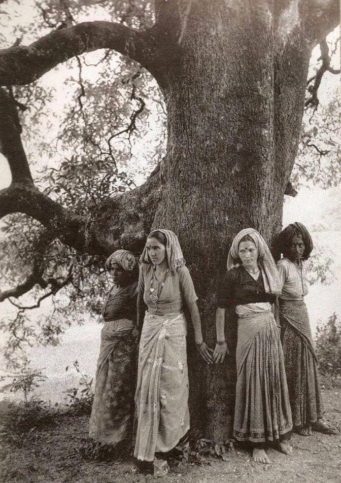 Tree huger