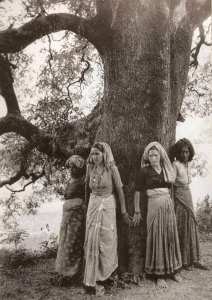 Tree huger