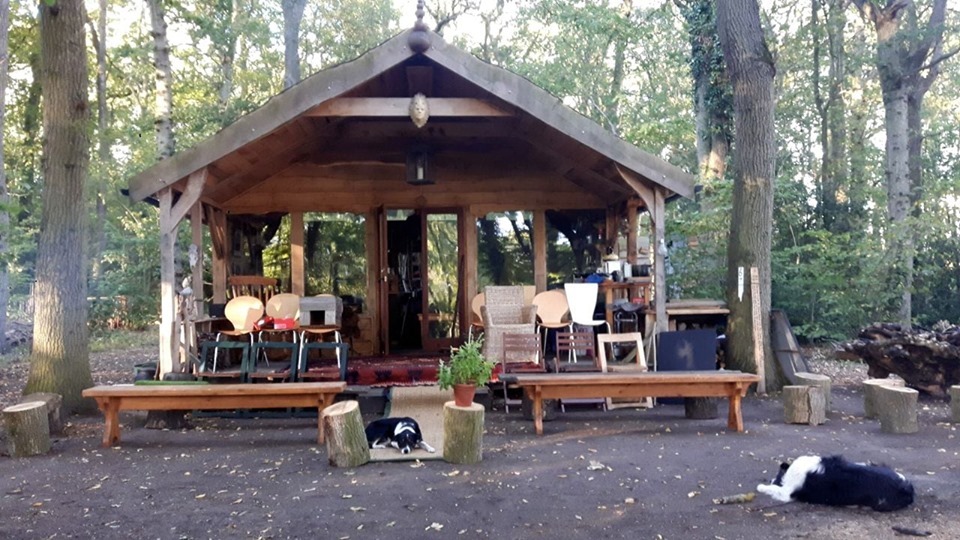 woodwose stage