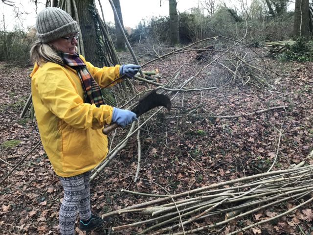 Coppicing