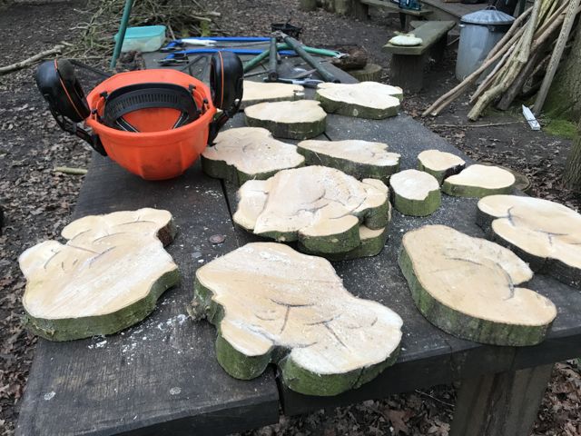 Coppicing-9