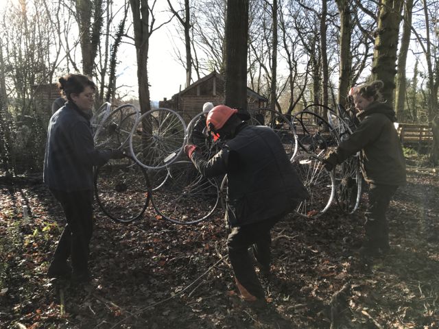 Coppicing day 2-2
