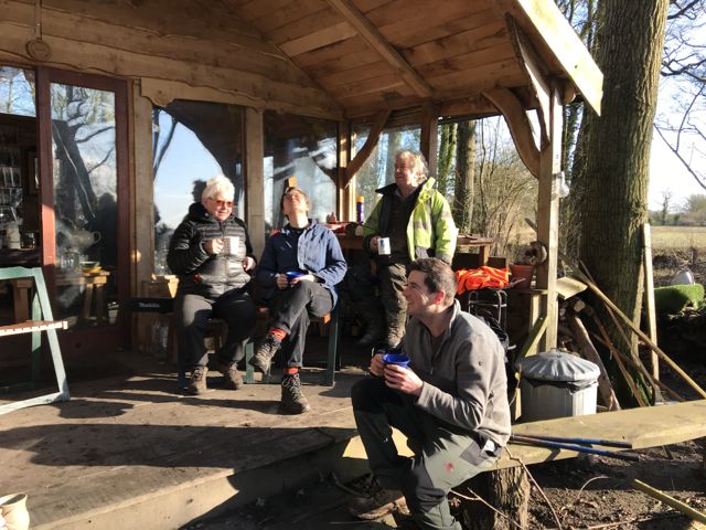 Coppicing day 2-4