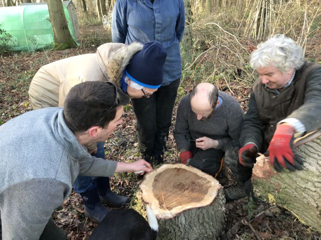 Coppicing day 2-9