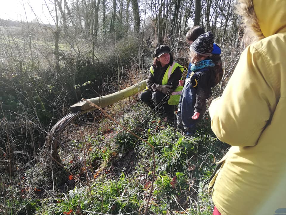 KFS Kids coppicing