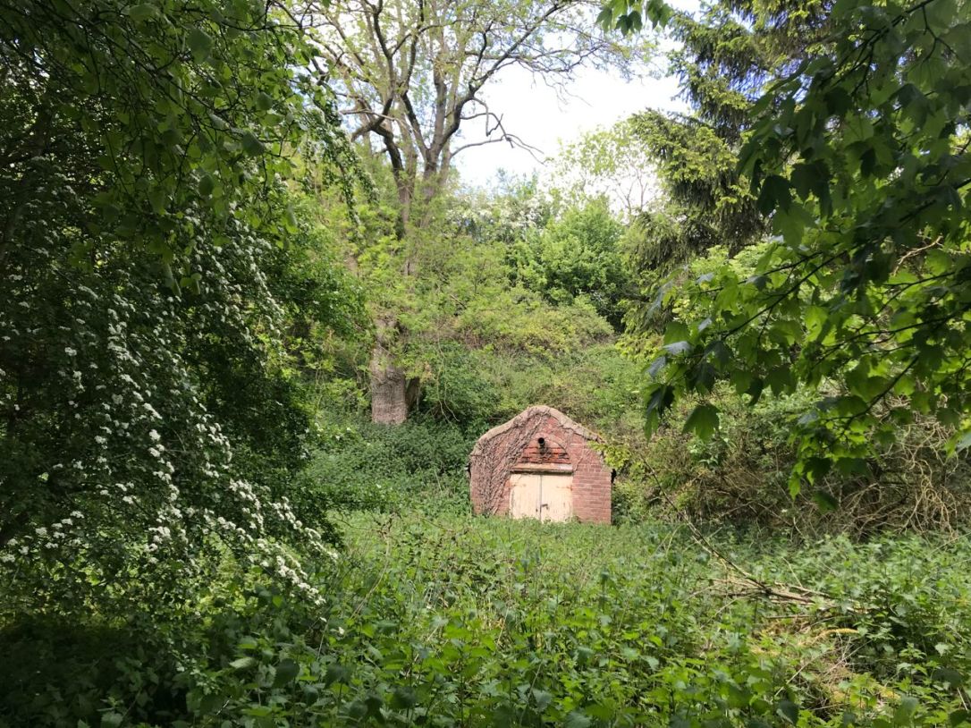 Bungay wood