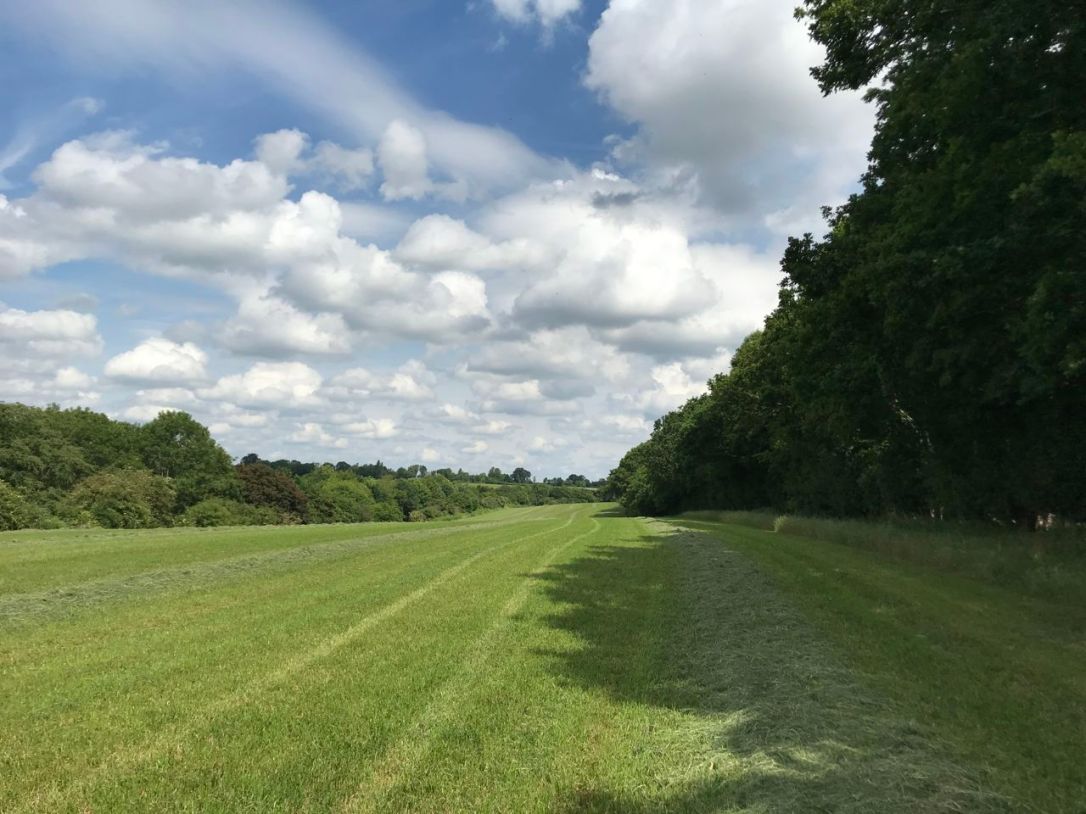 East Wood Denton-13
