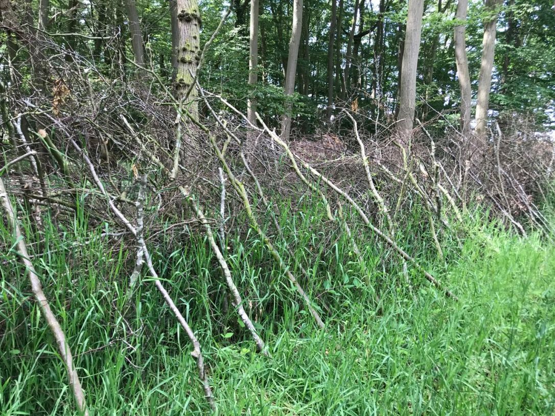 East Wood Denton-9